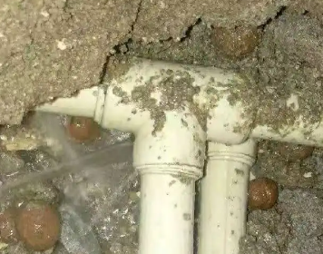 虎林测漏水多少钱