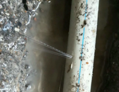 虎林测漏水哪家好