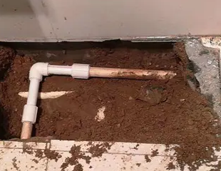 虎林测漏水哪家好