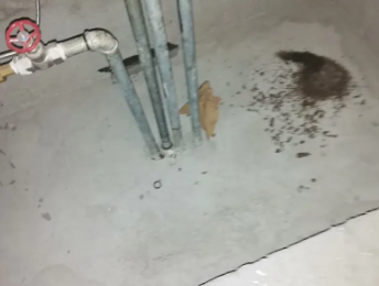 虎林卫生间测漏水价格明细