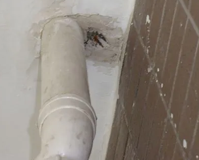 虎林漏水检测哪家好